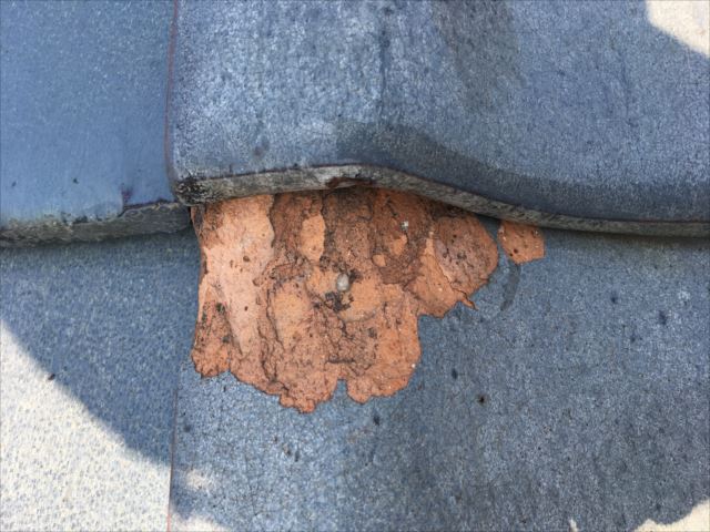 陶器瓦　瓦の凍て