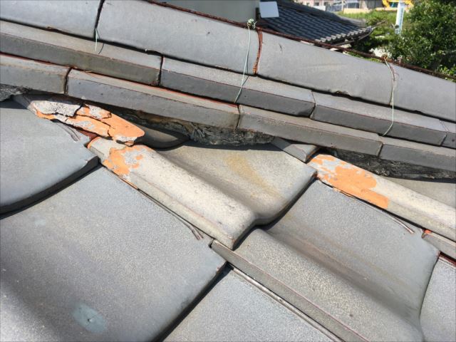 陶器瓦　瓦の凍て