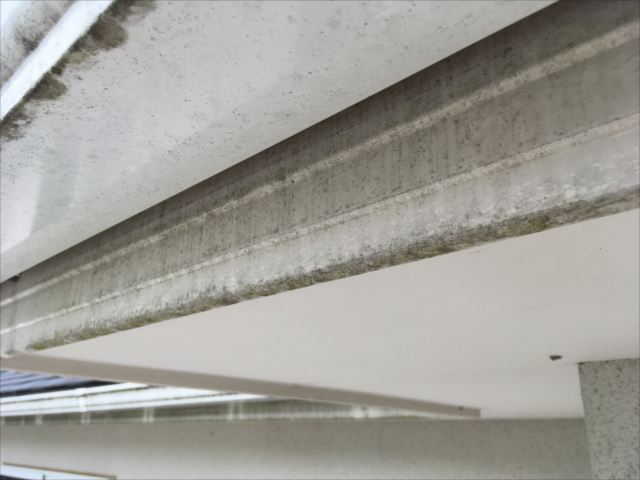 鼻隠板の退色と劣化