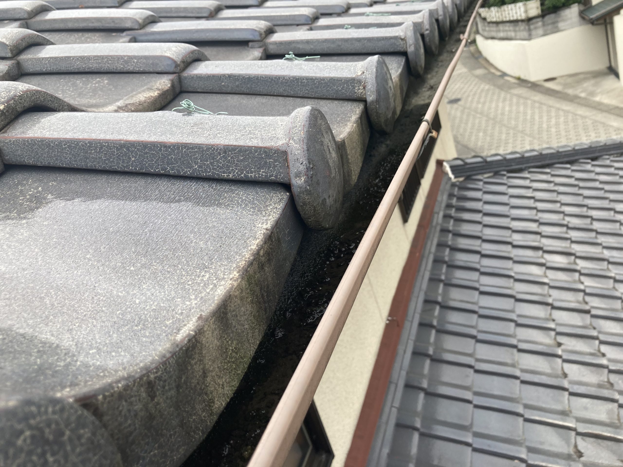 屋根点検　雨樋