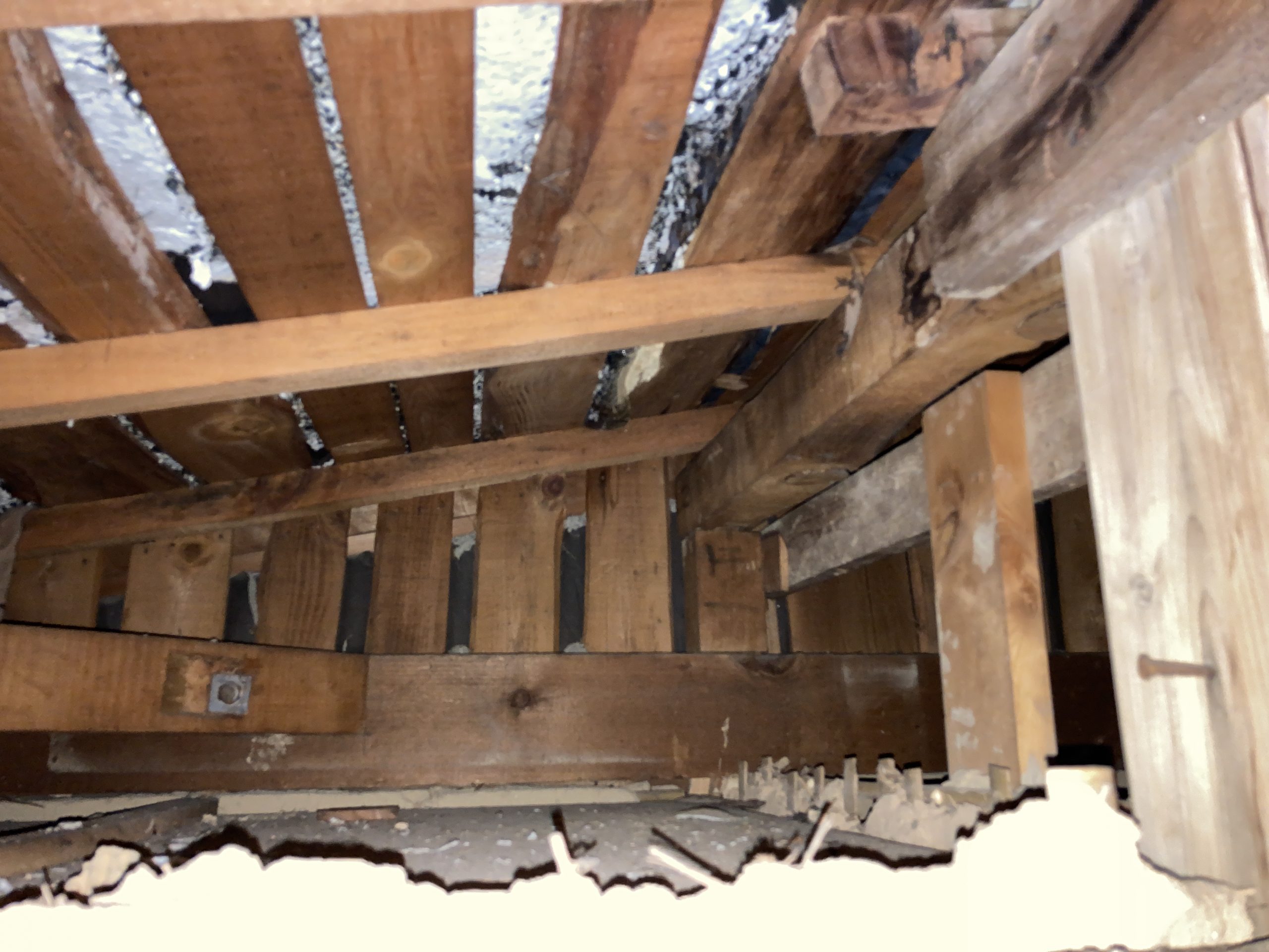 梁に雨染み　確認中の様子