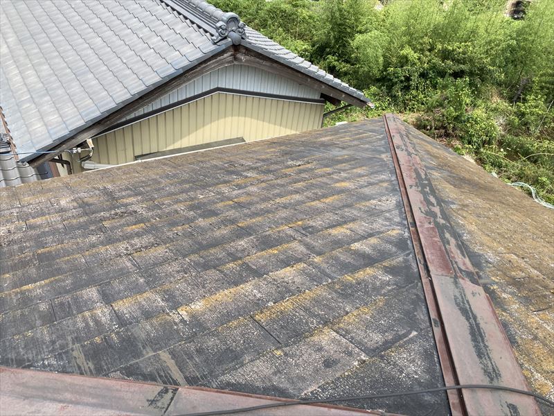 スレート屋根点検