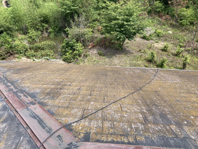 スレート屋根点検