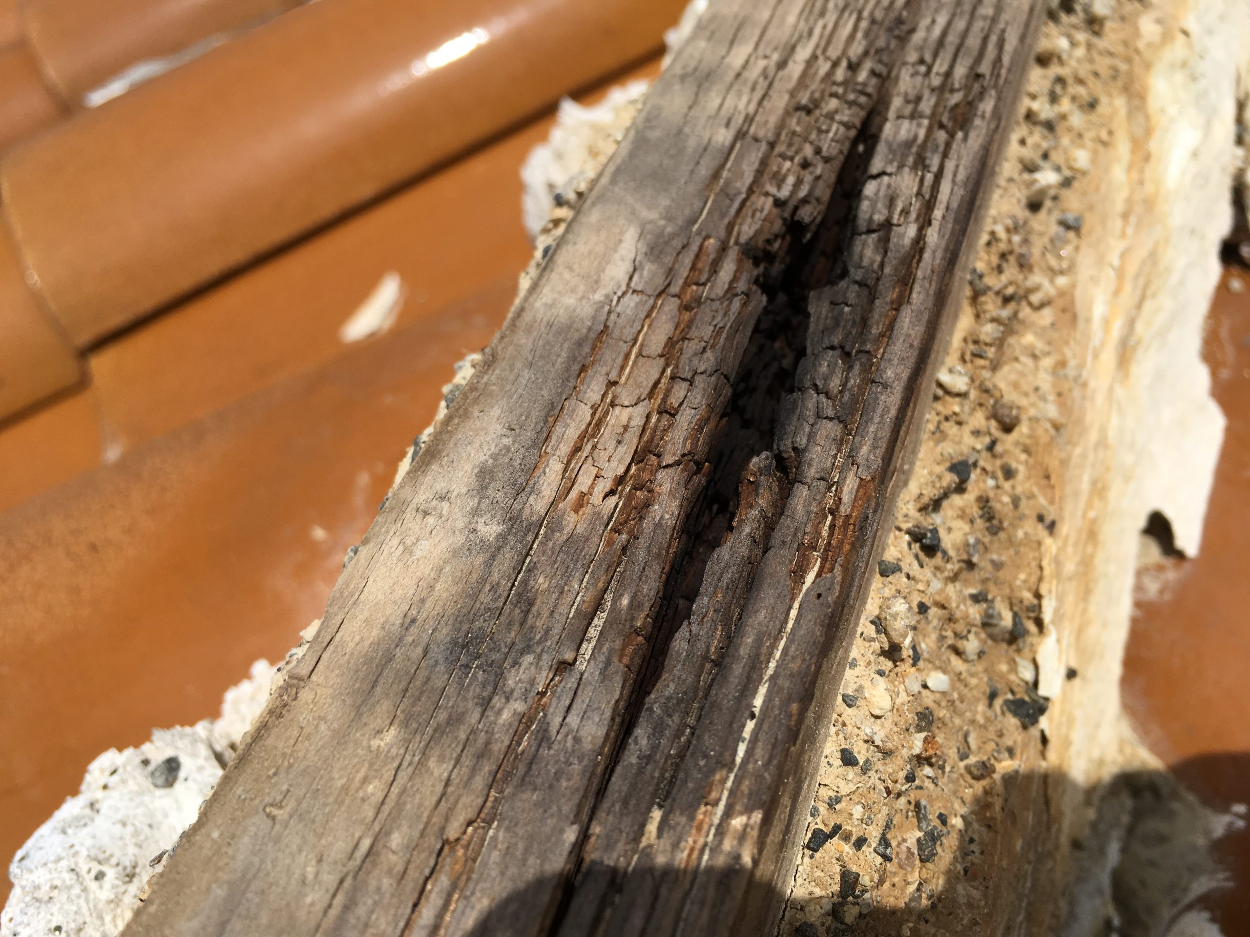 木の腐食劣化