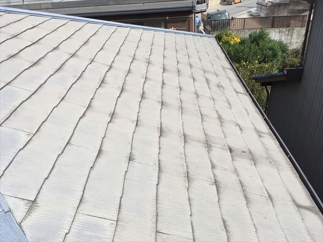 塗装現地調査の様子　カラーベストの確認