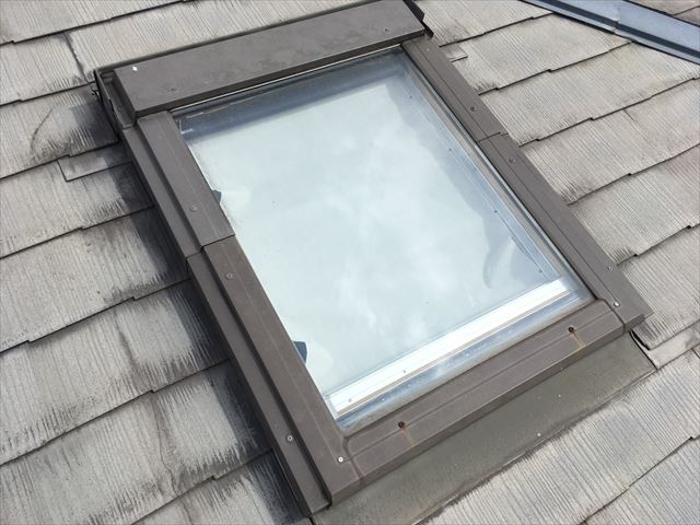 塗装現地調査の様子　トップライトの確認をしています