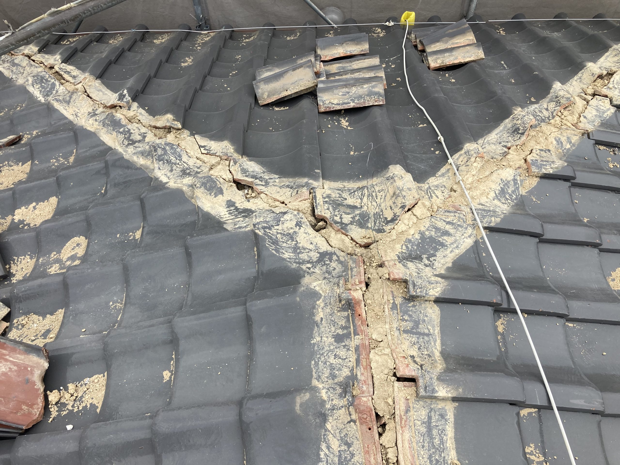 棟の解体後の様子