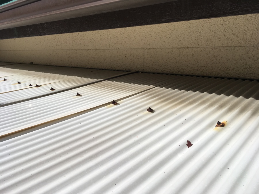 波板の破損　割れ　台風被害