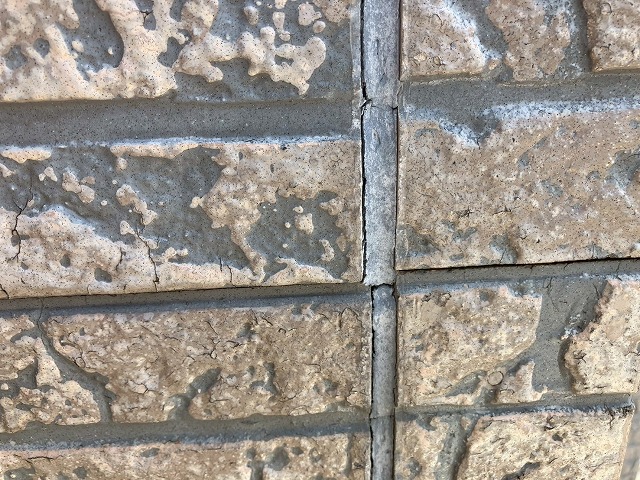 外壁の確認を実施