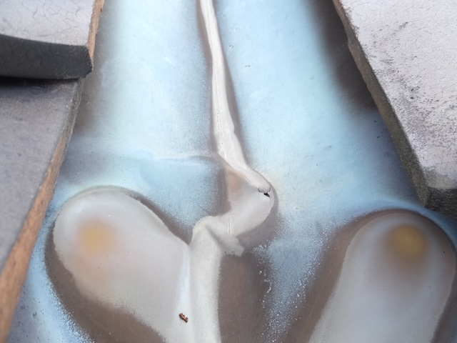 雨の跡・別角度