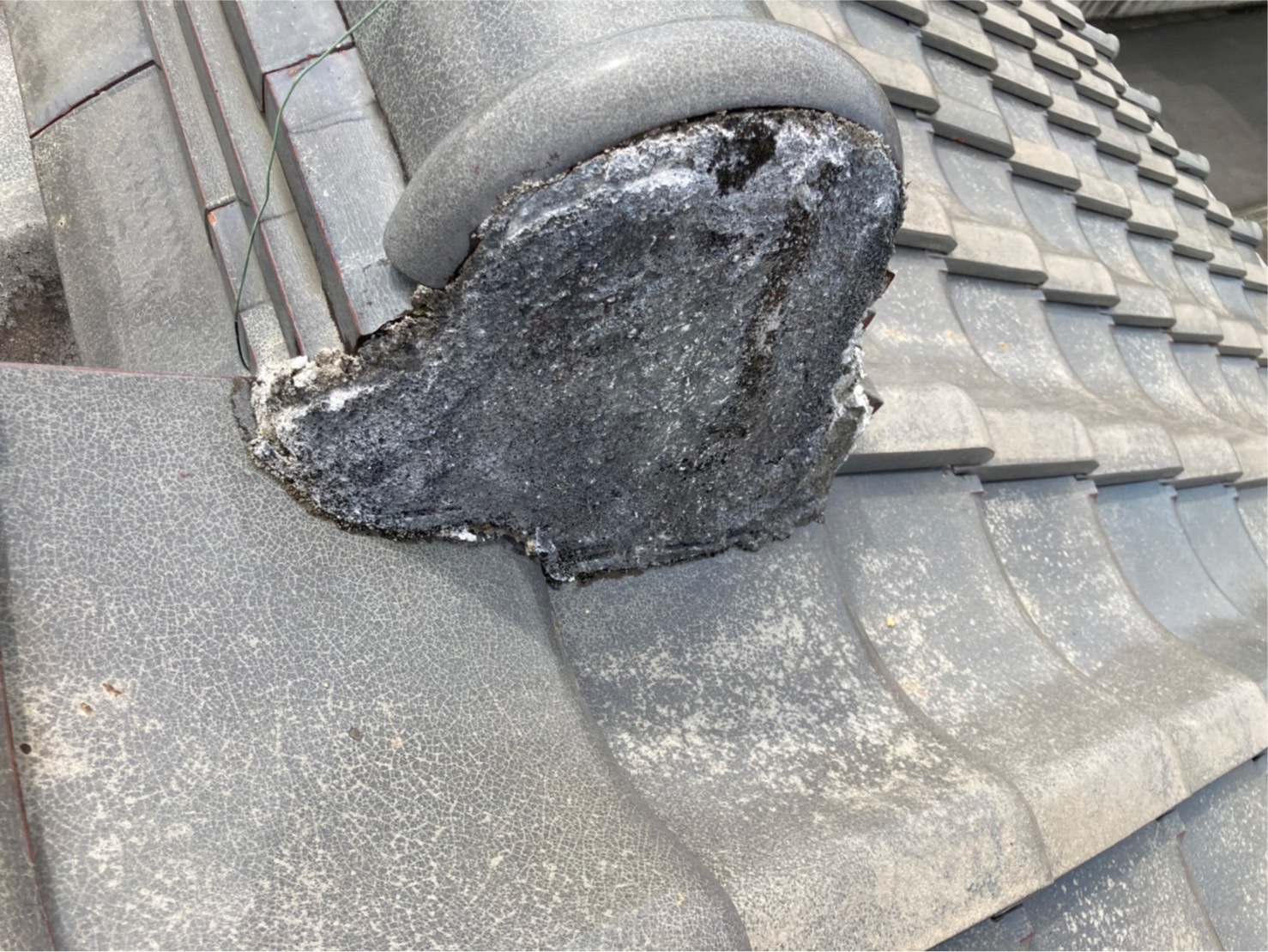 棟止めもがちがちでした