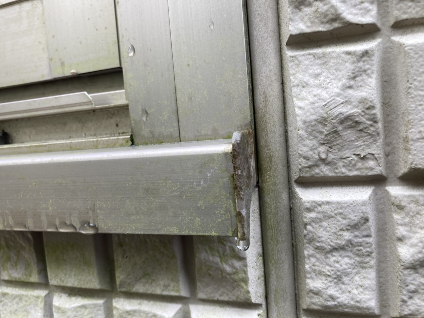 サッシ周りにも同じ目地が使用されています