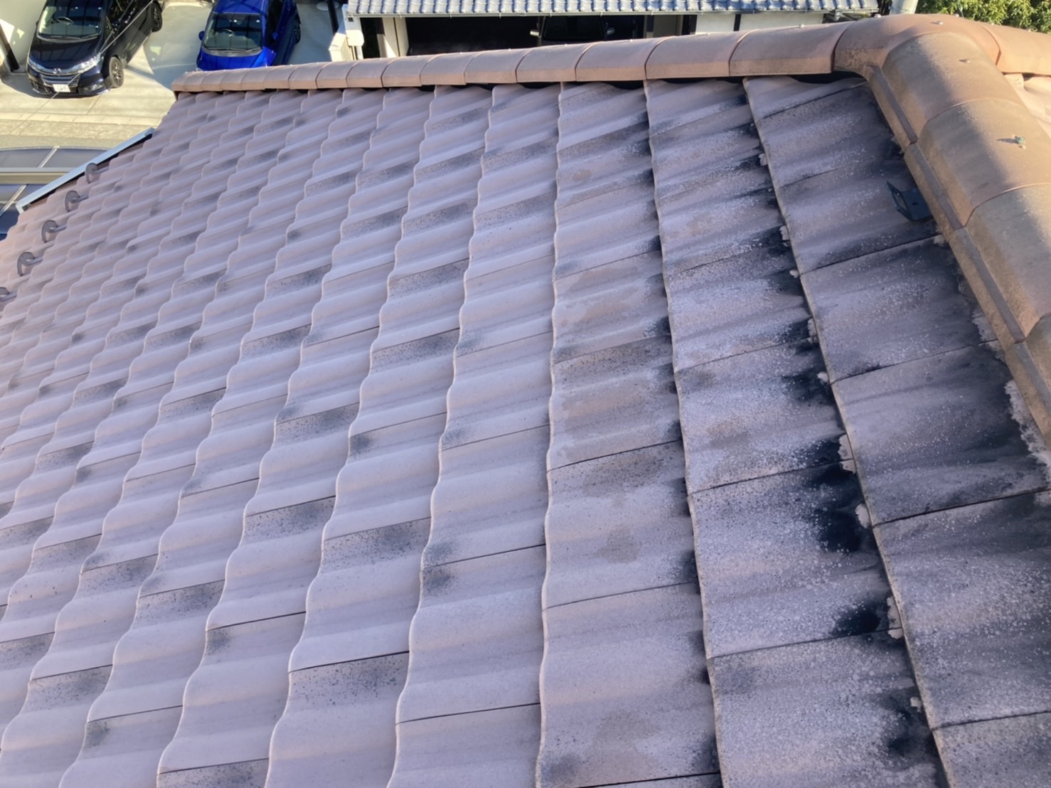 北面は汚れがついていますね