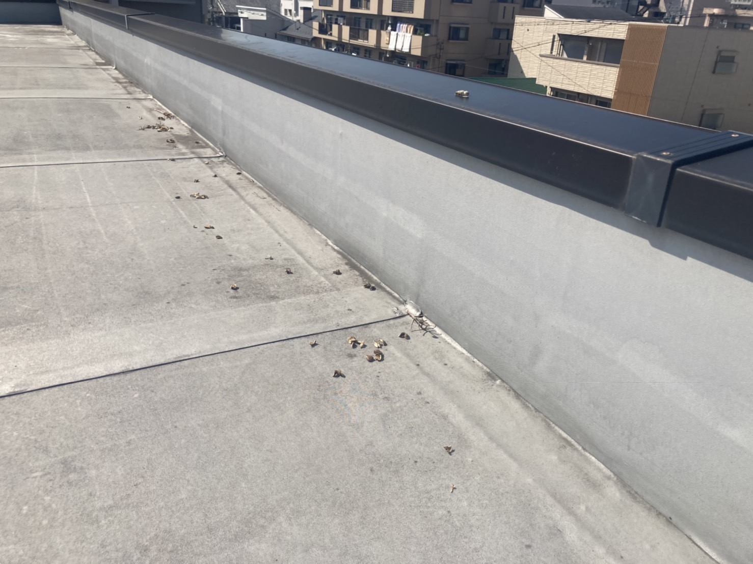 防水点検　立上り