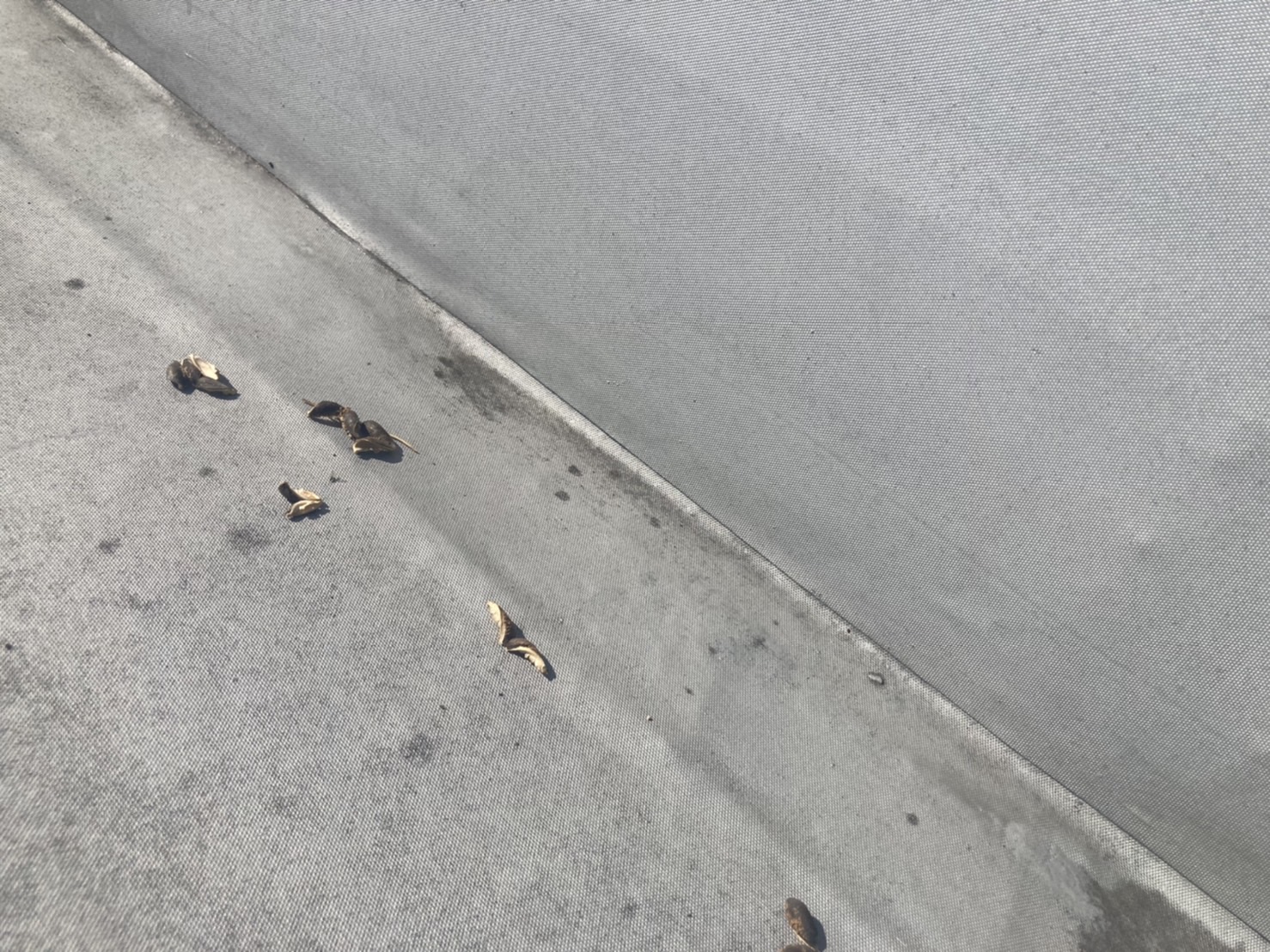 防水点検　立上り