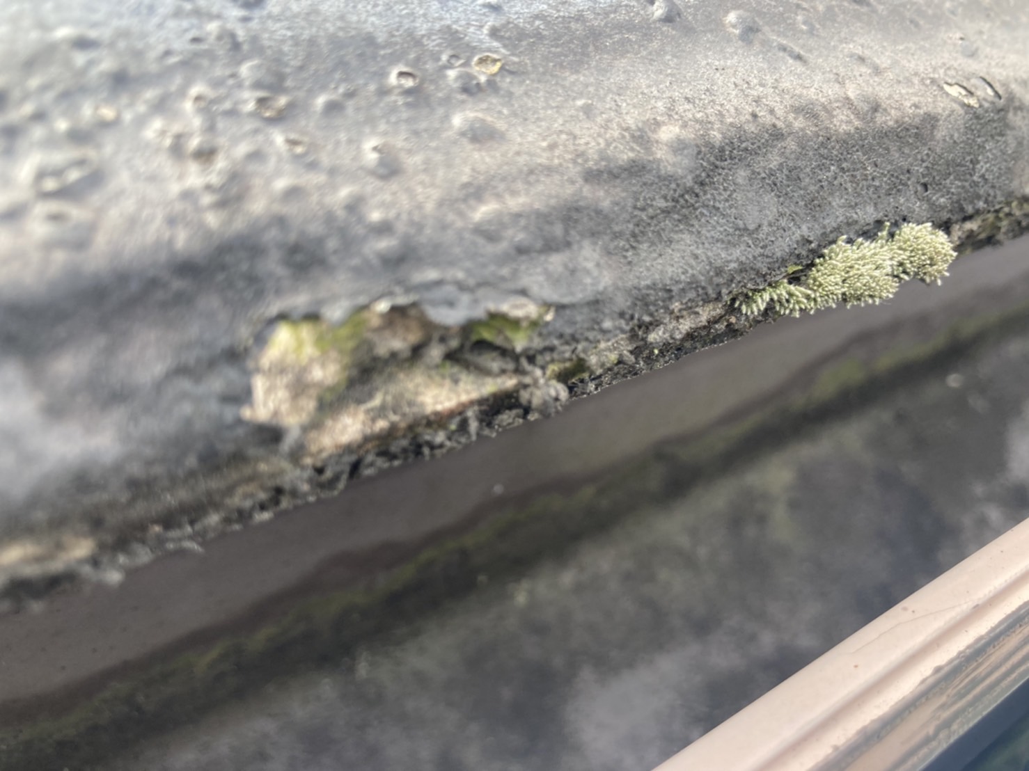 屋根点検　屋根材の欠け