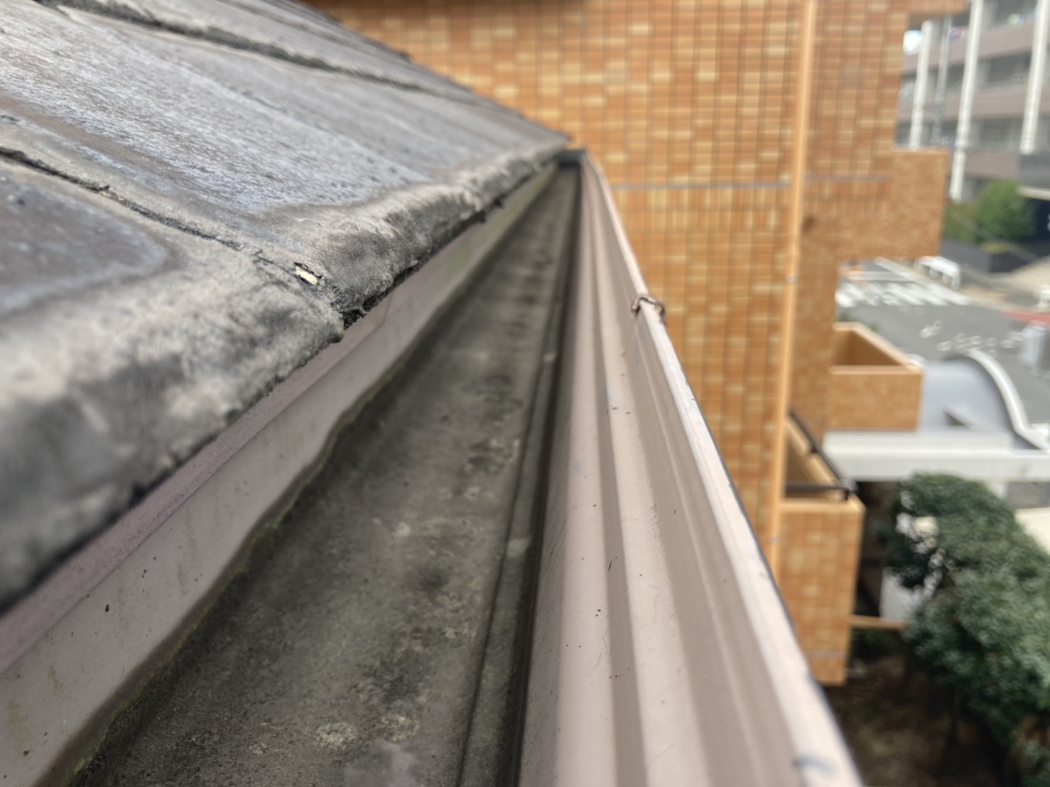 屋根点検　雨樋