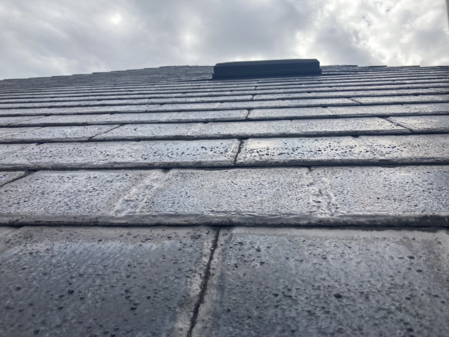 屋根点検　大屋根