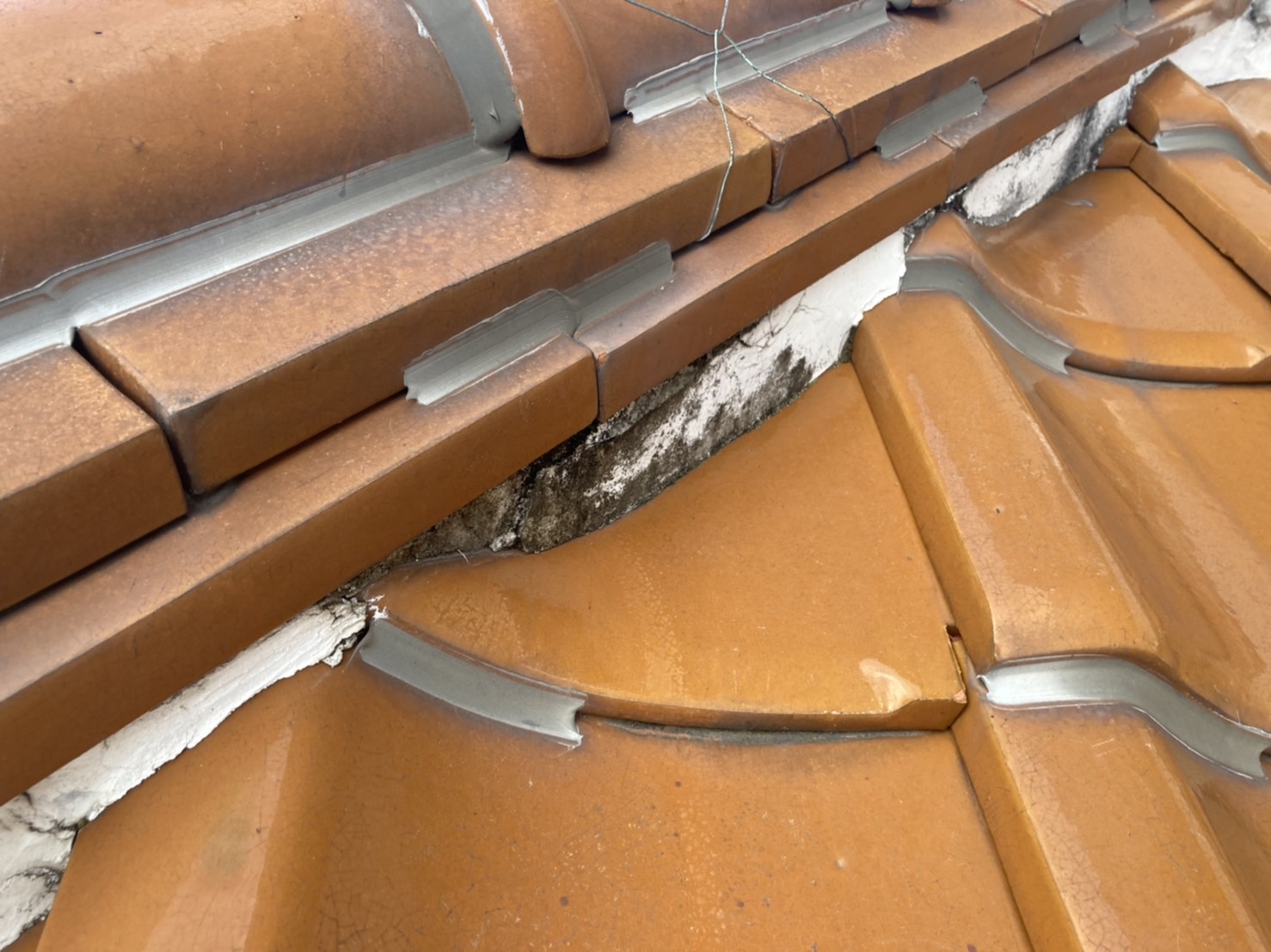 棟瓦の中に雨が侵入している可能性あり