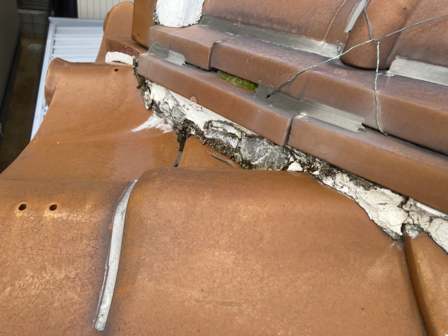 棟瓦の中に雨が侵入している可能性あり