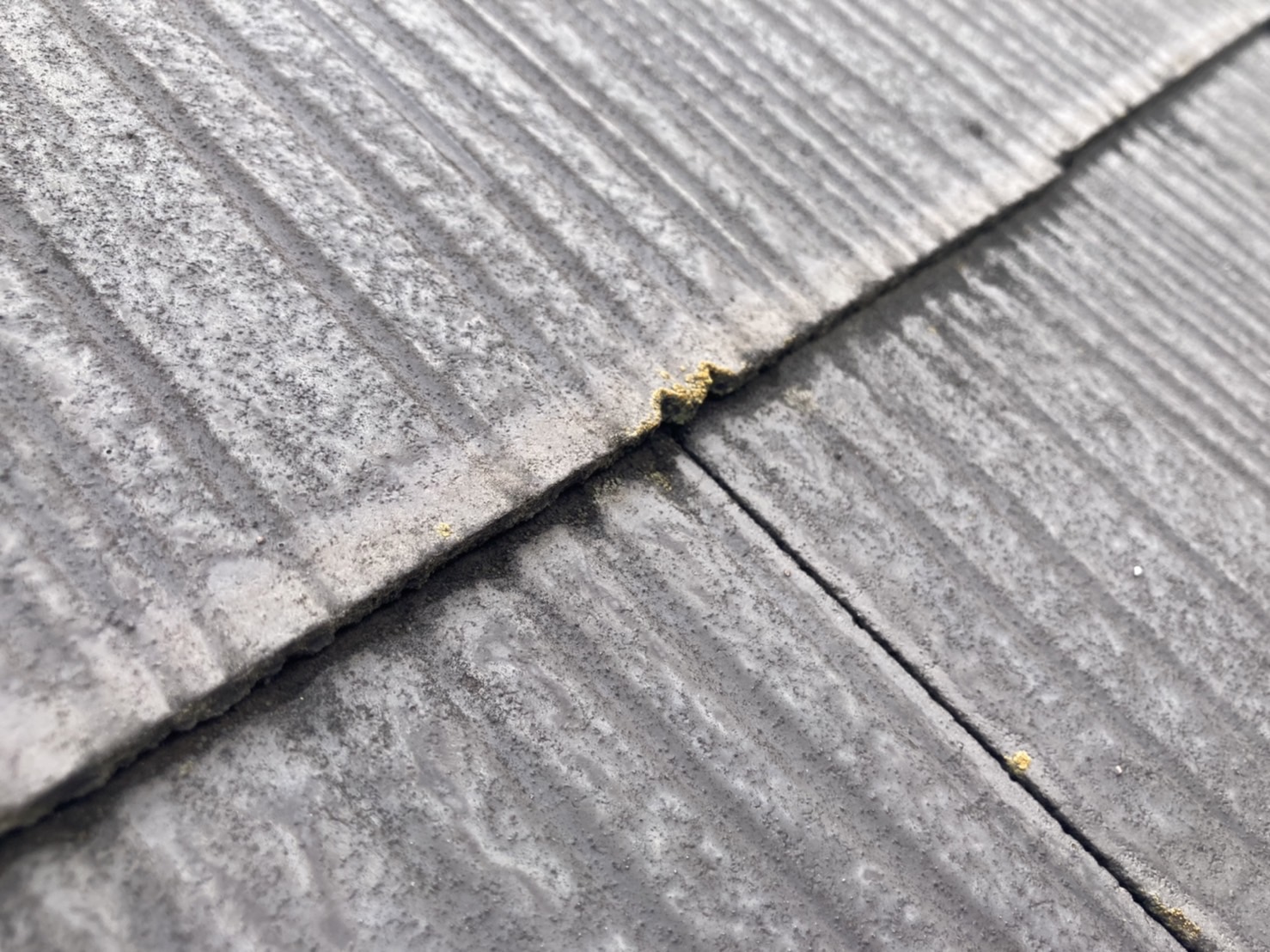 スレート屋根点検