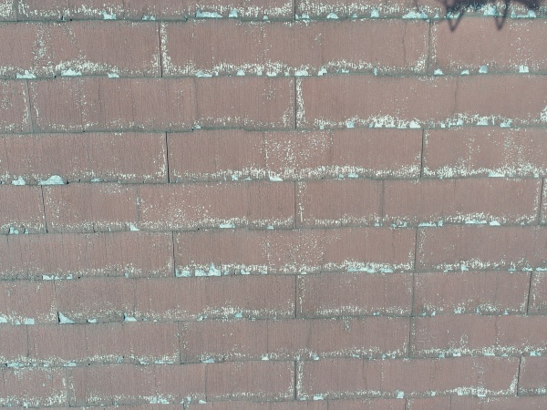 パミールの劣化が進行していました