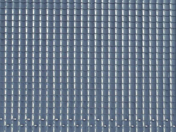 上空からの撮影