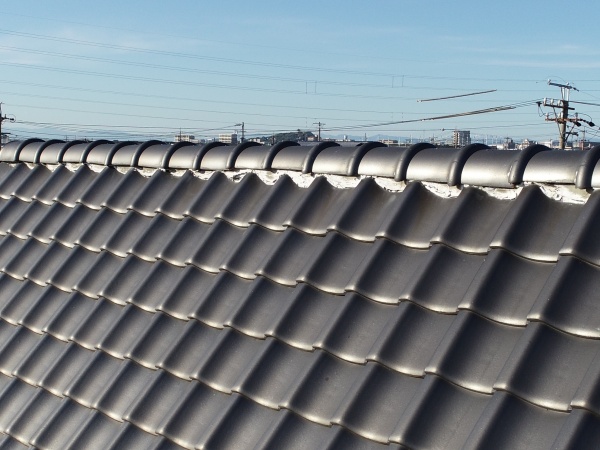 鮮明に写ります