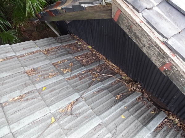 雨漏りの原因　枯れ葉の詰まり