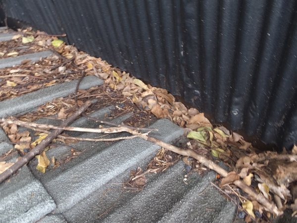 落ち葉が溜まった写真