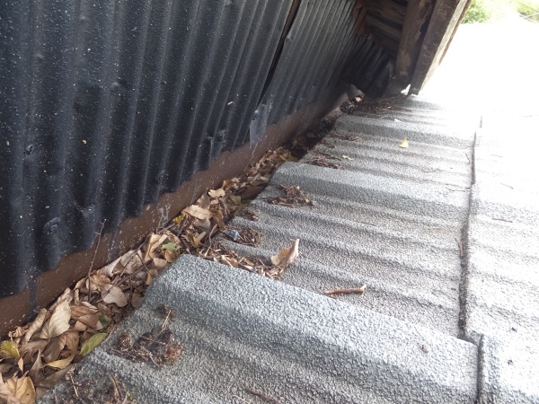 落葉が沢山溜まっていました