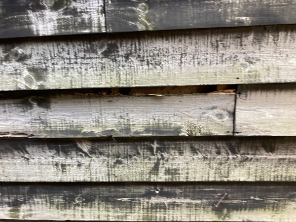 外壁調査　現調の様子