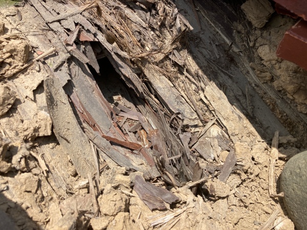 杉皮の穴　浸水する箇所