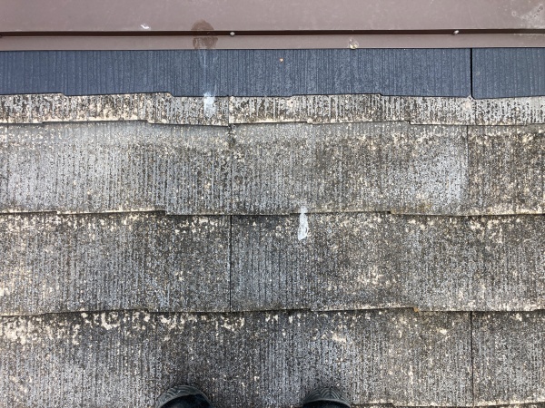 棟の補修工事が終わっています