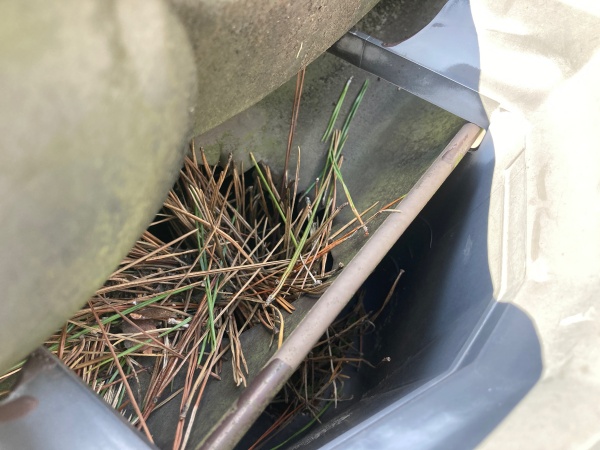 雨樋の中に落葉が堆積