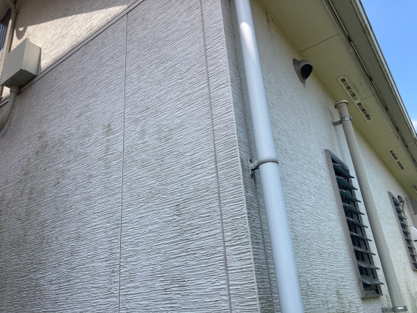 外壁の点検　調査