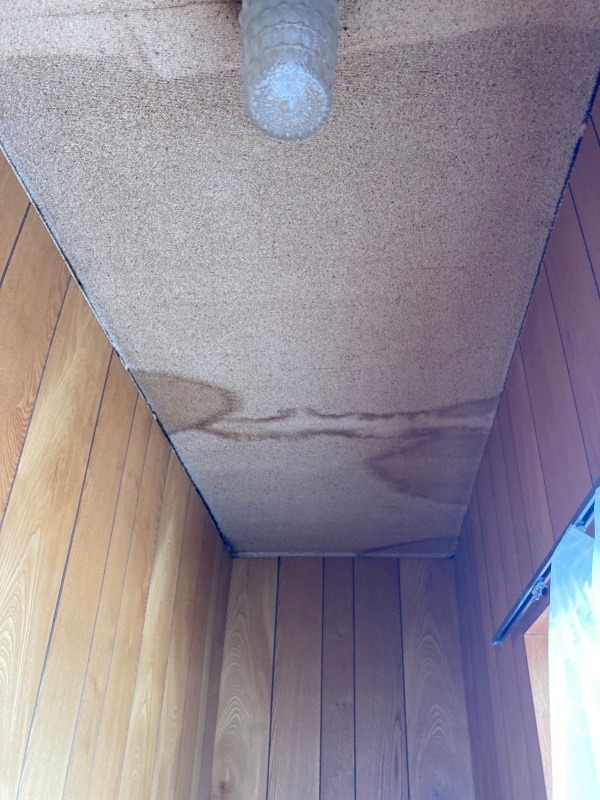 天井の雨染みの様子