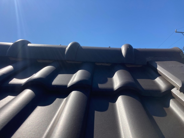 棟漆喰の劣化確認