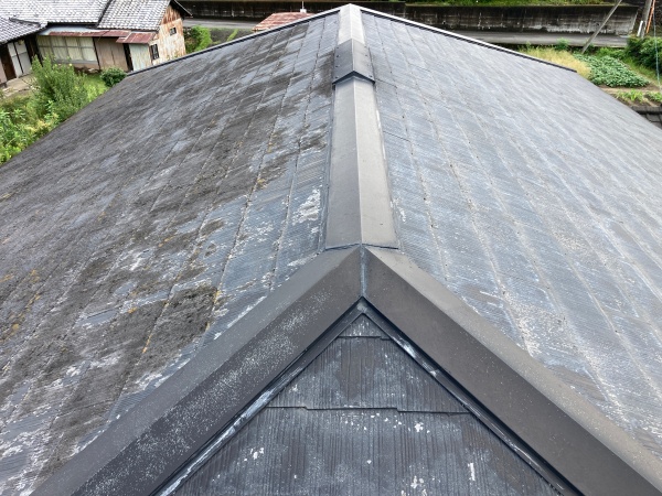 屋根の全景写真