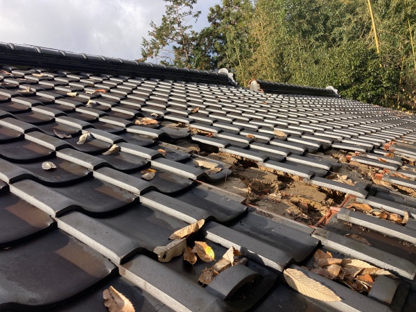 枯れ葉が屋根に落ちています