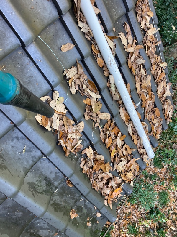 枯れ葉が屋根に落ちています　下屋根の状態