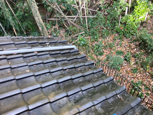 下屋根の清掃後
