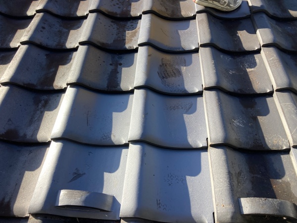 倒木による瓦の割れ補修　施工後