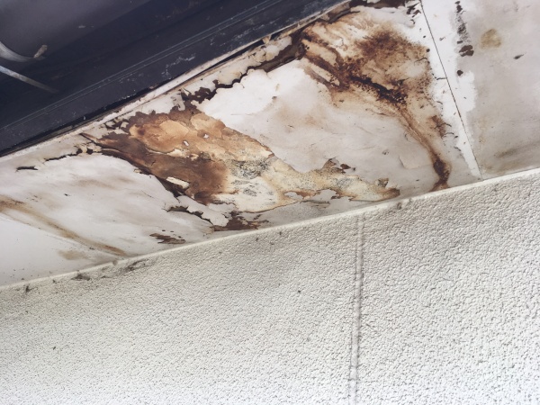 軒天　腐食　雨染み