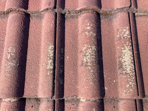 セメント瓦の塗装工事　工事前