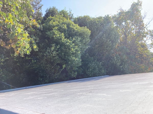 廻りの様子　山