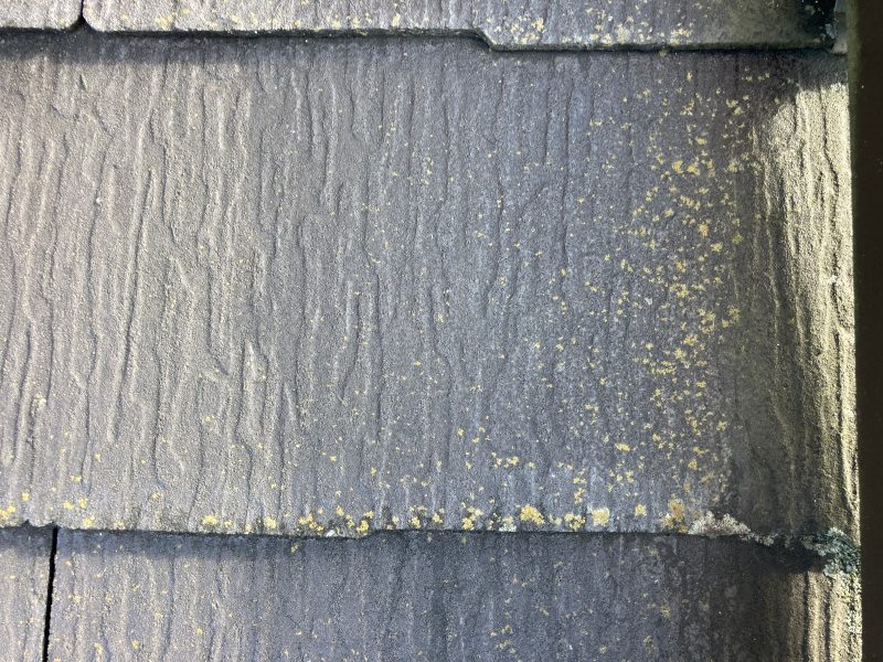 下屋根にはカビが