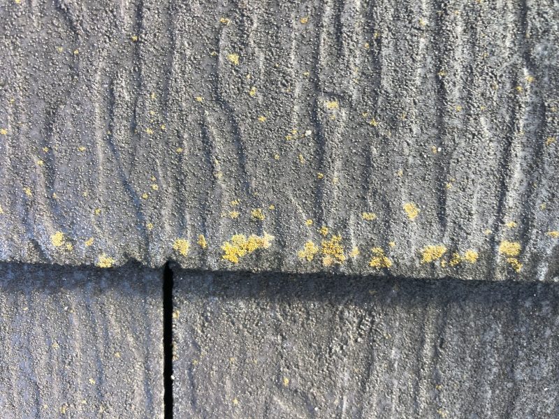 下屋根にはカビ　コケ