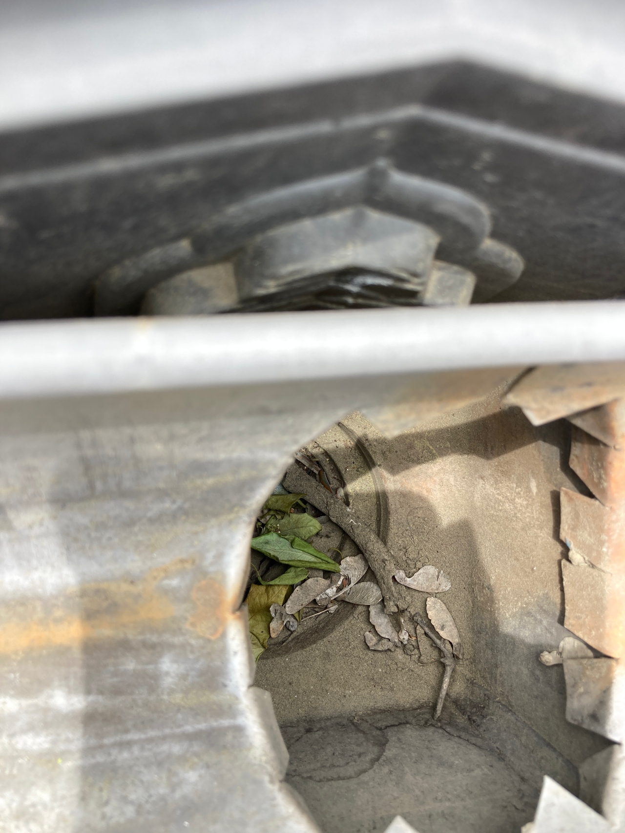 雨樋のつまり　雨樋の中に枯れ葉