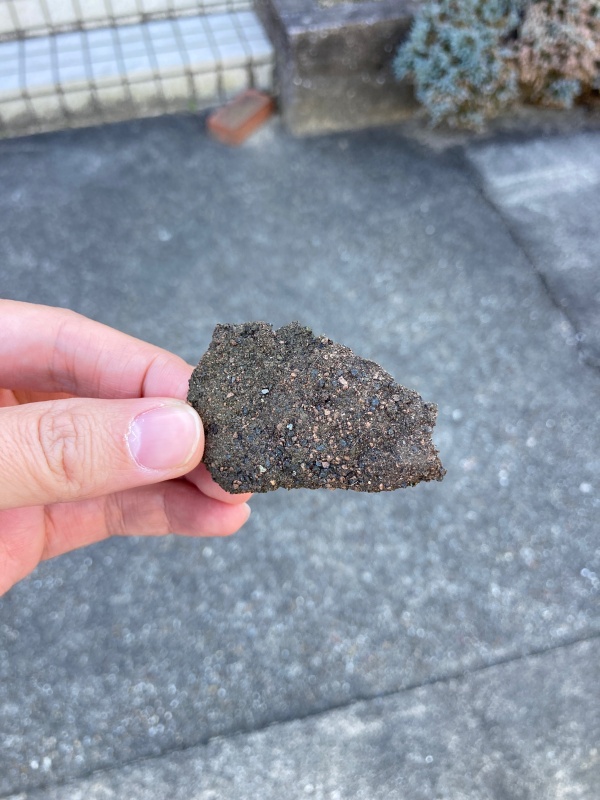 落下した屋根材